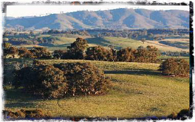 Heathcote Hills image